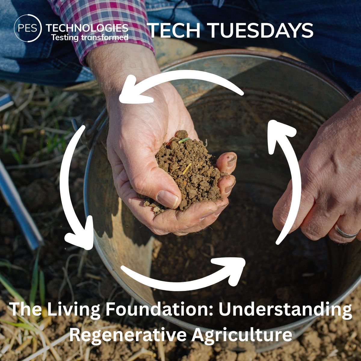 Image of soil in a hand