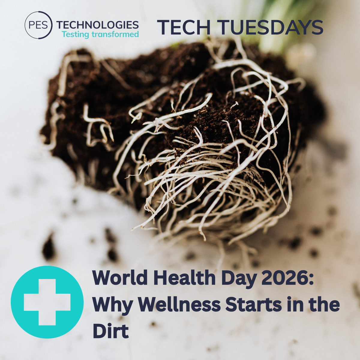 World Health Day 2026: Why Wellness Starts in the Dirt